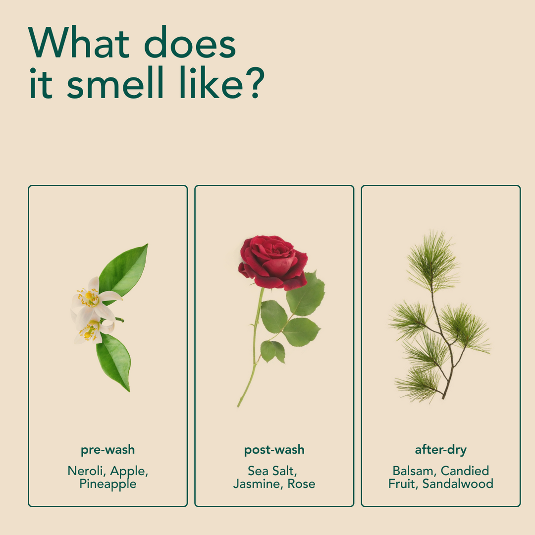 Scent Discovery