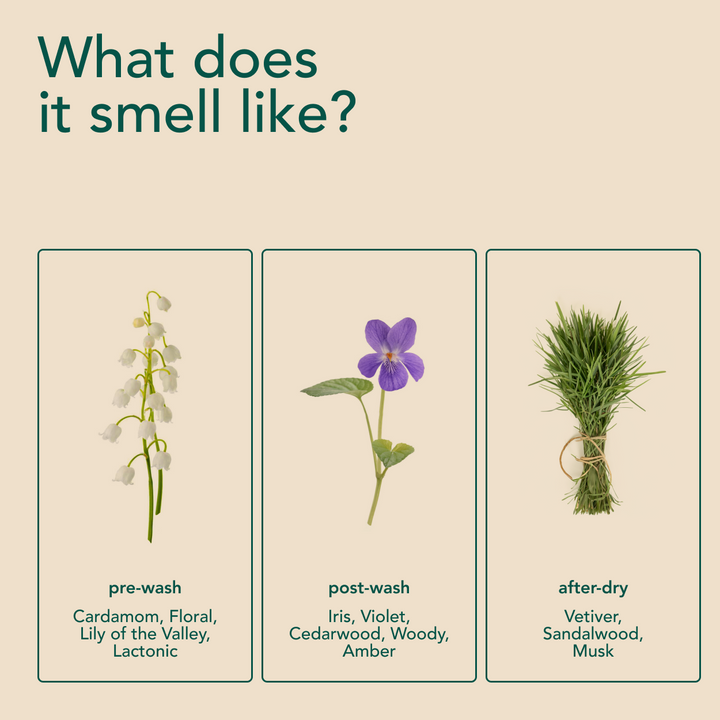 Scent Discovery