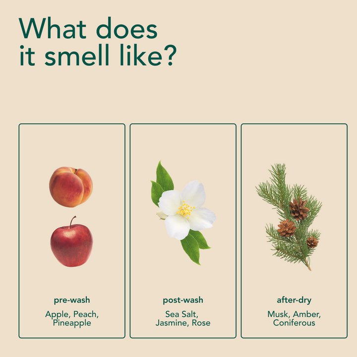 Scent Discovery