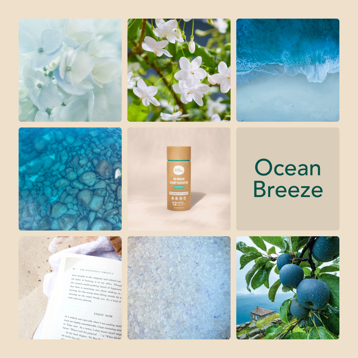 Travel Size In-Wash Scent Boosters - Ocean Breeze